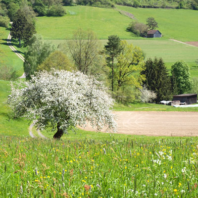 Blick auf untere Ziegelhütte