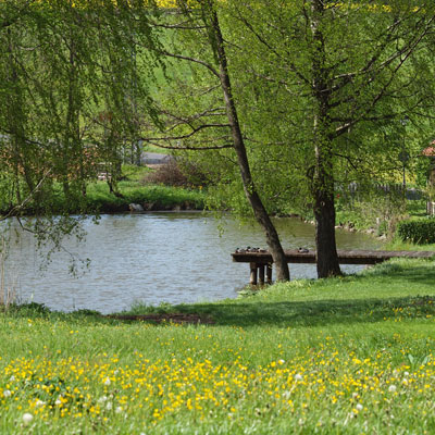 Weiher in Ützdorf