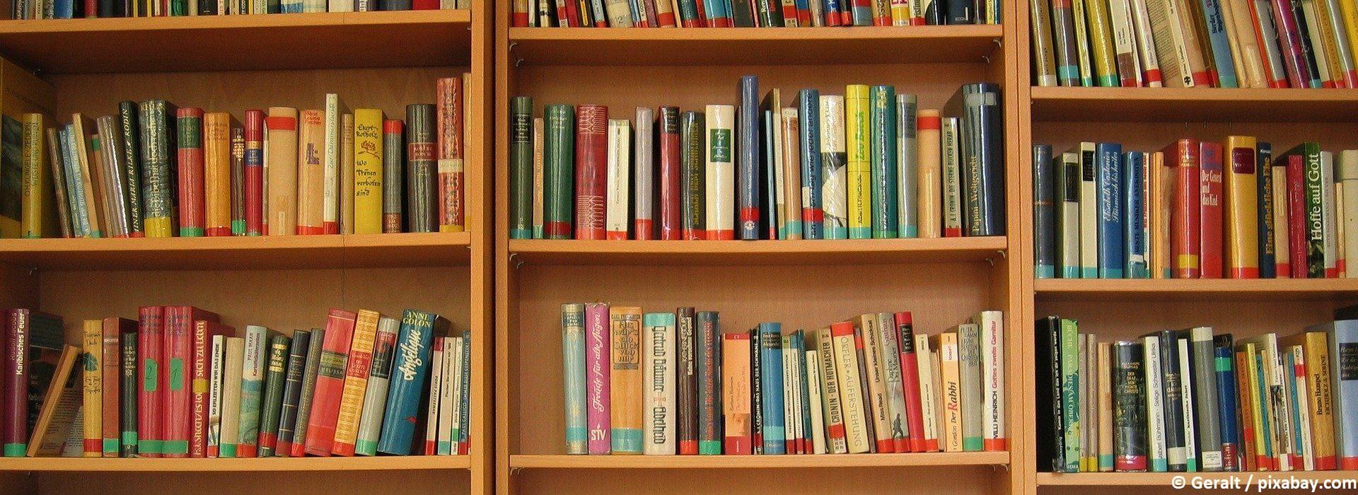 Bücher in einer Bücherei vom Geralt by pixabay